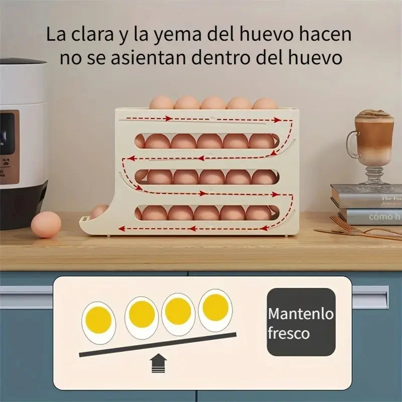 🥚 Porta Huevos 🥚